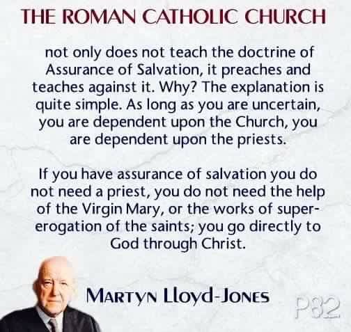 Shirley Costantino tweet media