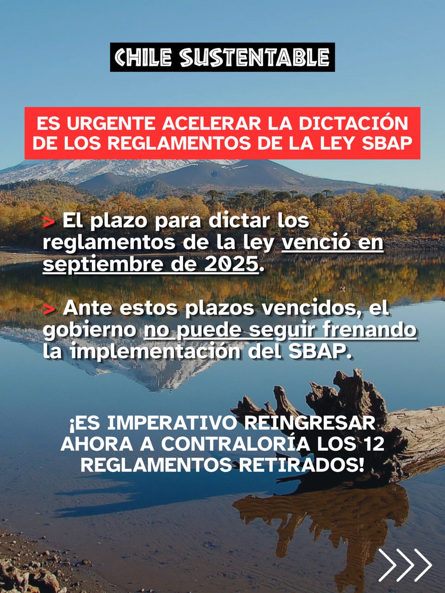 ONG Chile Sustentable 🌎 tweet media