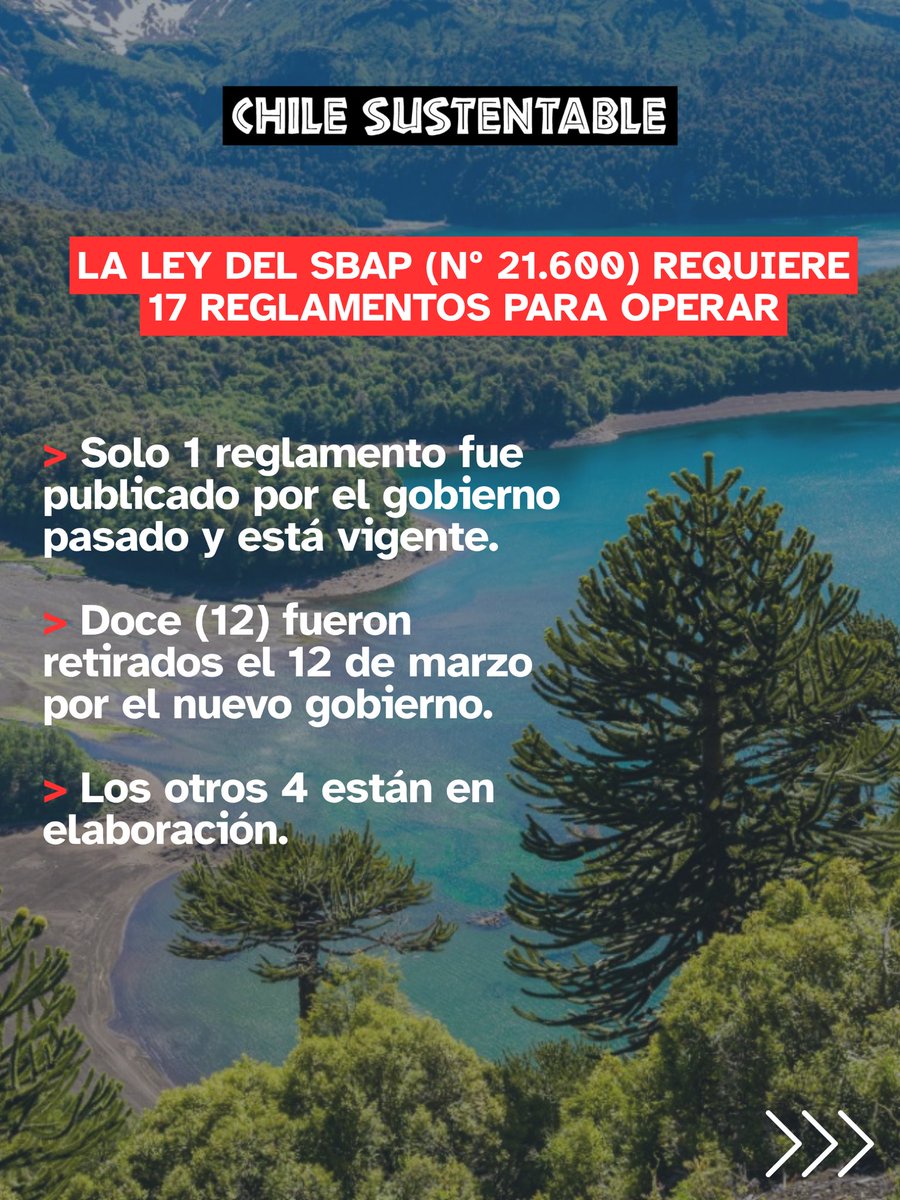 ONG Chile Sustentable 🌎 tweet media