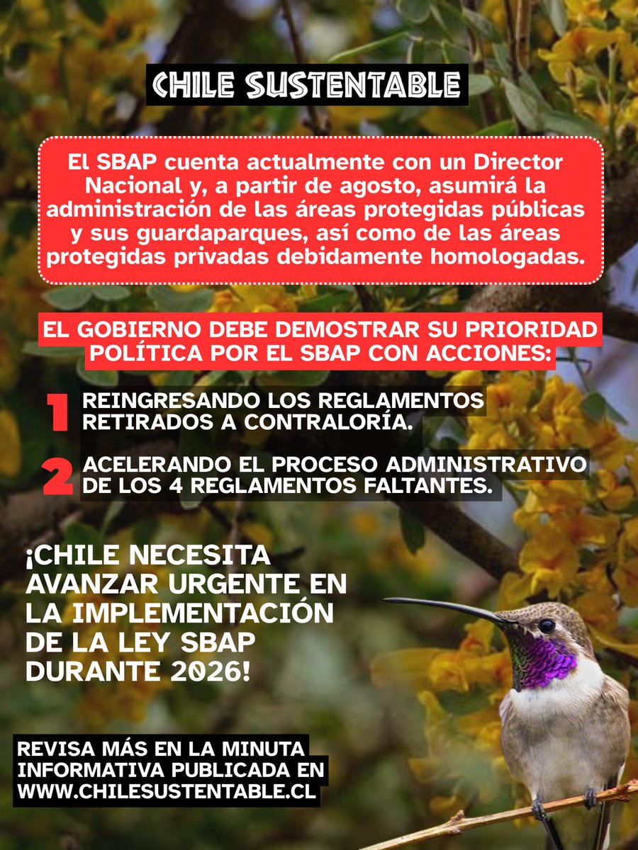 ONG Chile Sustentable 🌎 tweet media