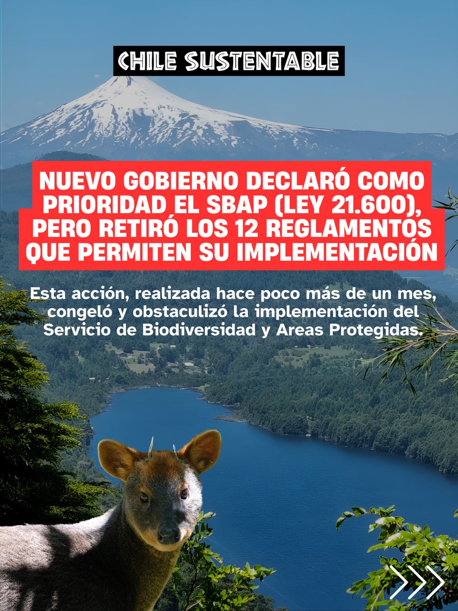 ONG Chile Sustentable 🌎 tweet media