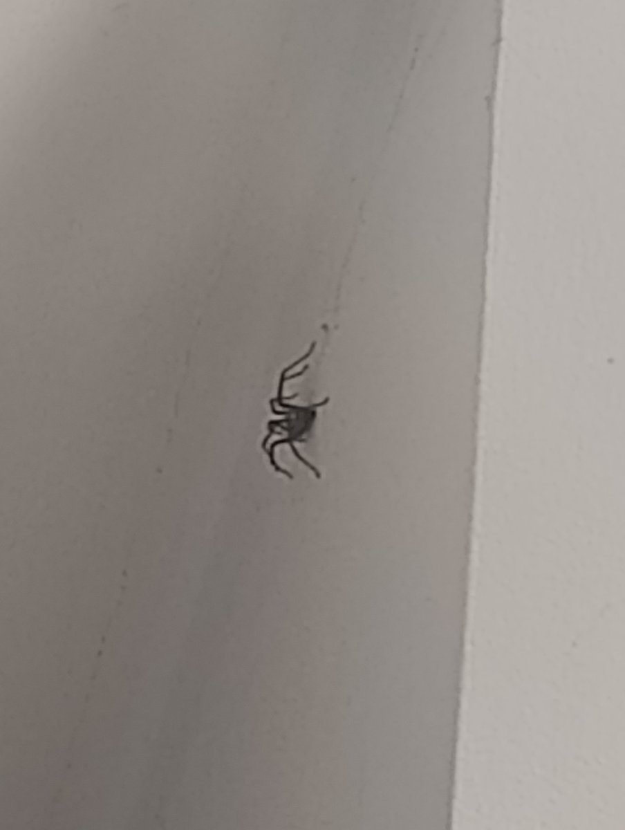 Daron100 tweet media