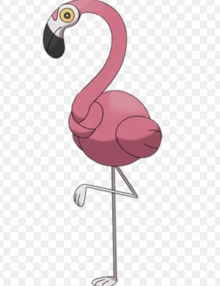 HAWU 🩵🐾 tweet media