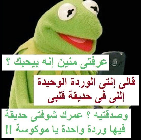 🌻Is-Albaghdadi🌻 tweet media