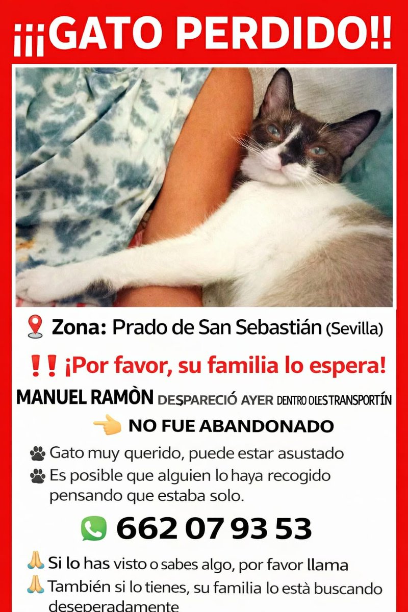 Mme. Verde tweet media