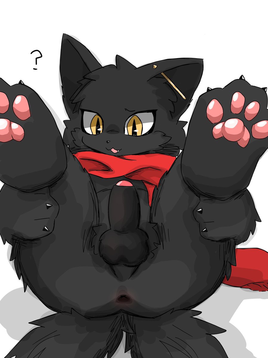 こねこたま🔞 tweet media