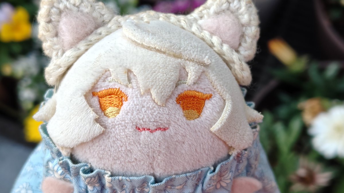 🐣ころも🐥 tweet media