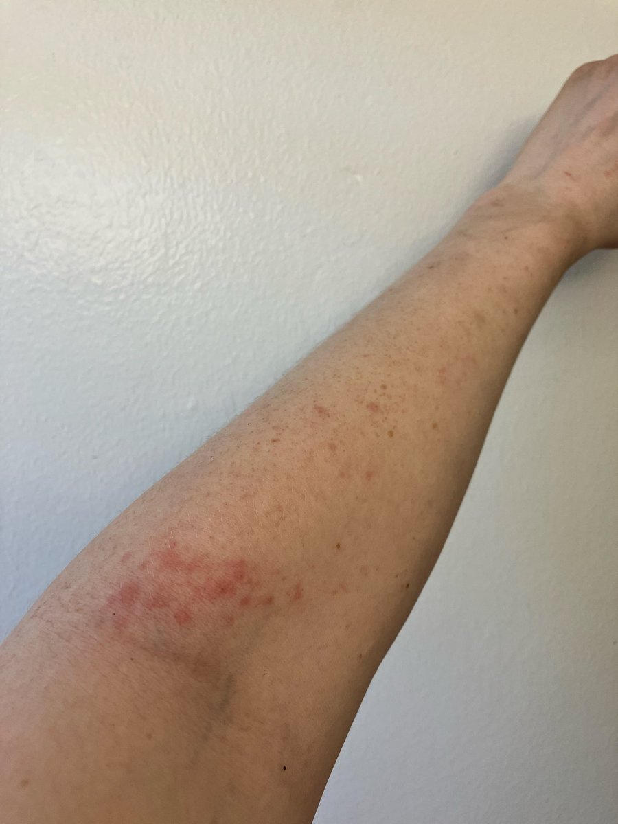 Pepper Chips tweet media