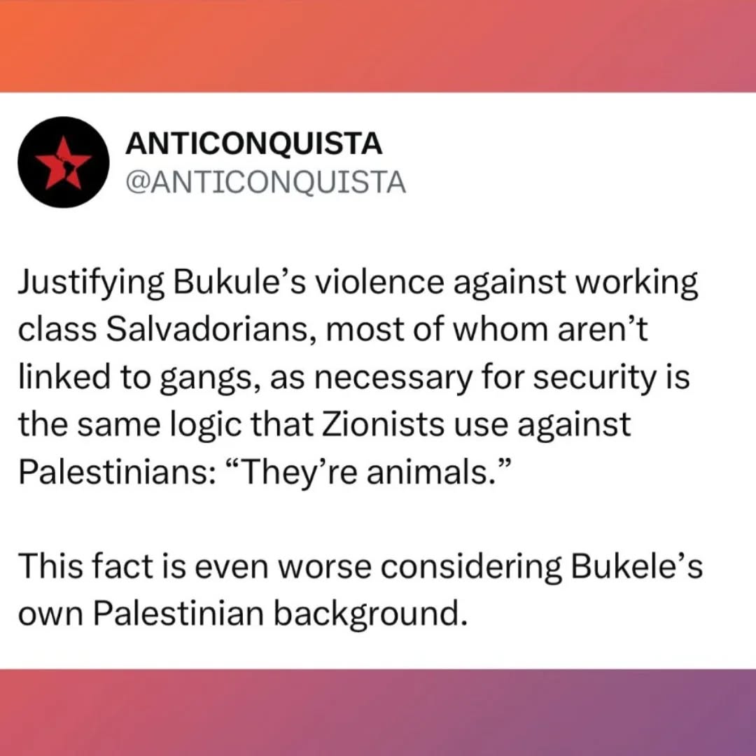 ANTICONQUISTA tweet media