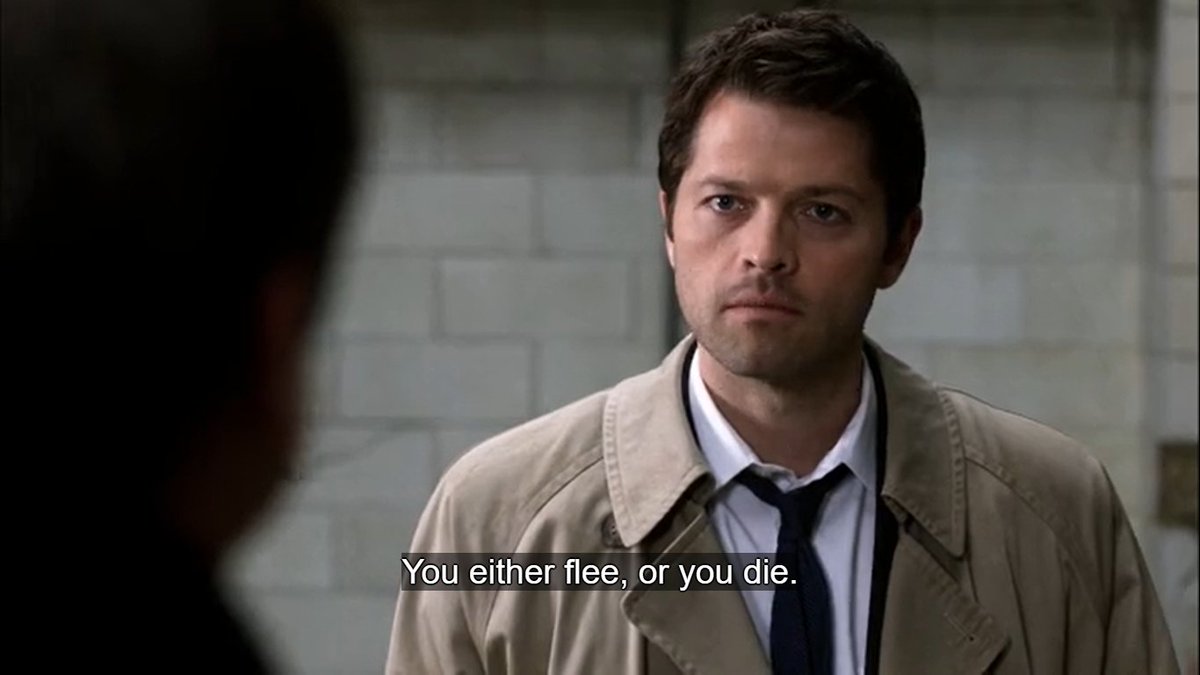 Rosé✭ first watch ever SPN S6 tweet media