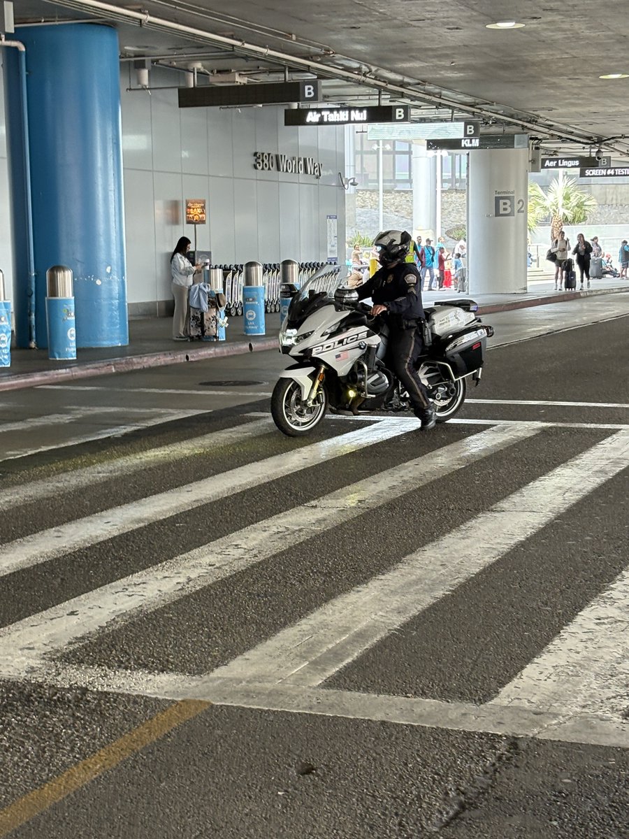 最高の野生種 tweet media