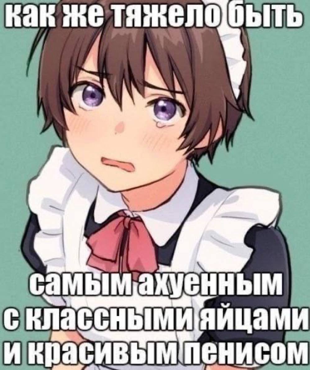 течечка tweet media