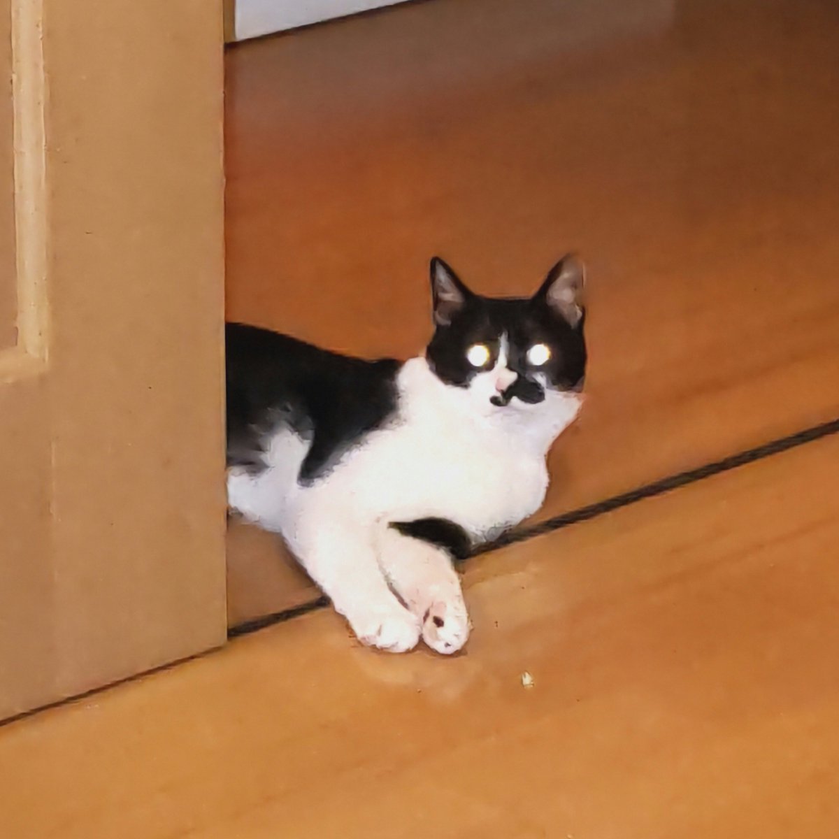 五更家の人 tweet media