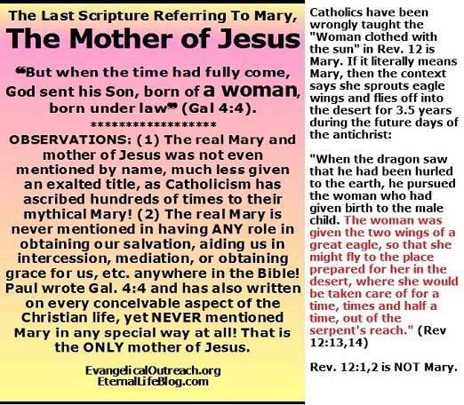 Shirley Costantino tweet media