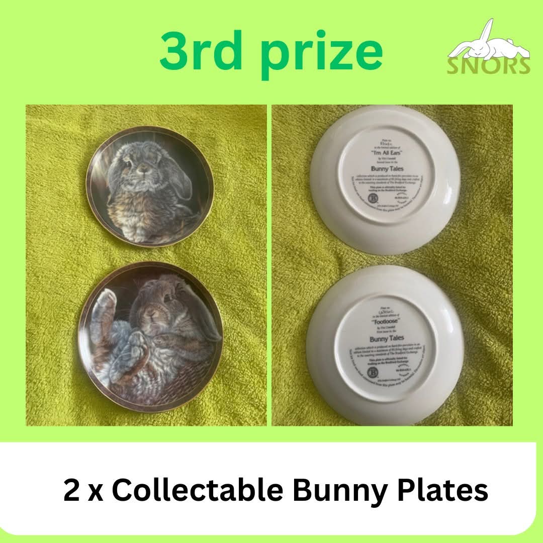 SNORSSanctuary's tweet photo. 🌷🐰‼️Only less than 3 days left SNORS raffle for April‼️ 🐰🌷

We have some beautiful prizes up for grabs in our new raffle and the money raised will be helping towards funding Sanctuary costs. So if you are interested in our raffle, don't hesitate and participate! https://t.co/BQXZwkvmyN