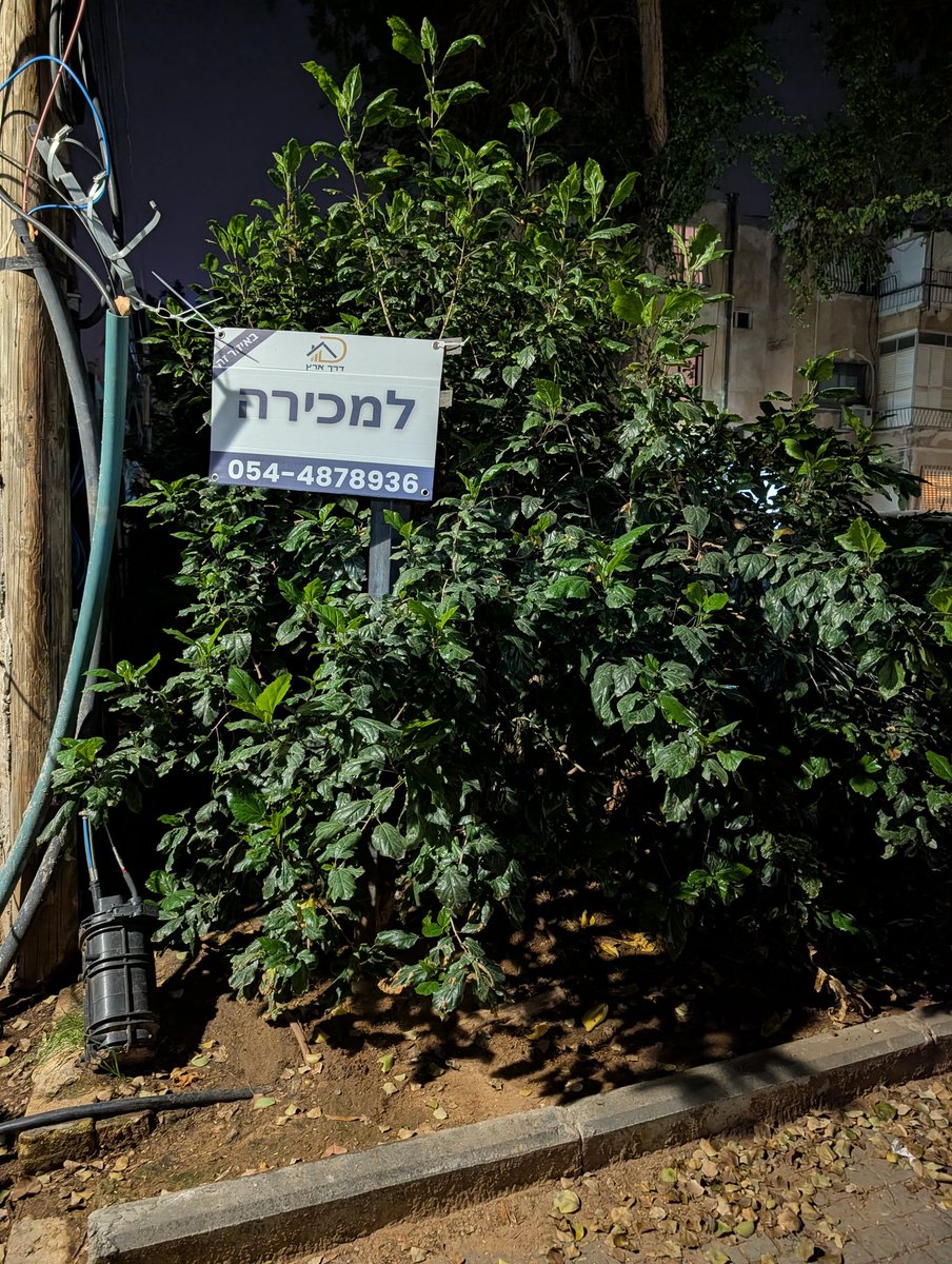 Elad Meidar tweet media