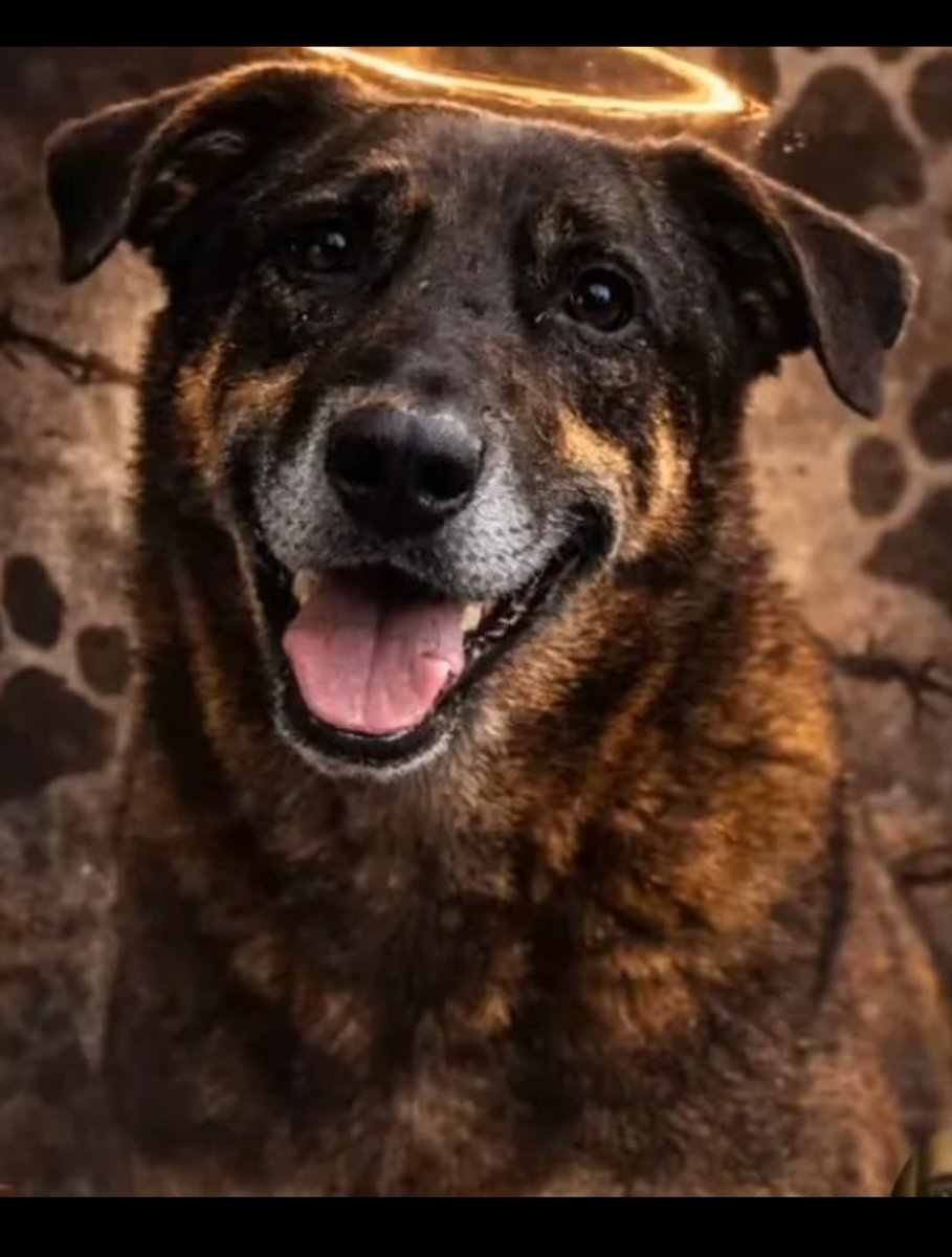 iti malias tweet media