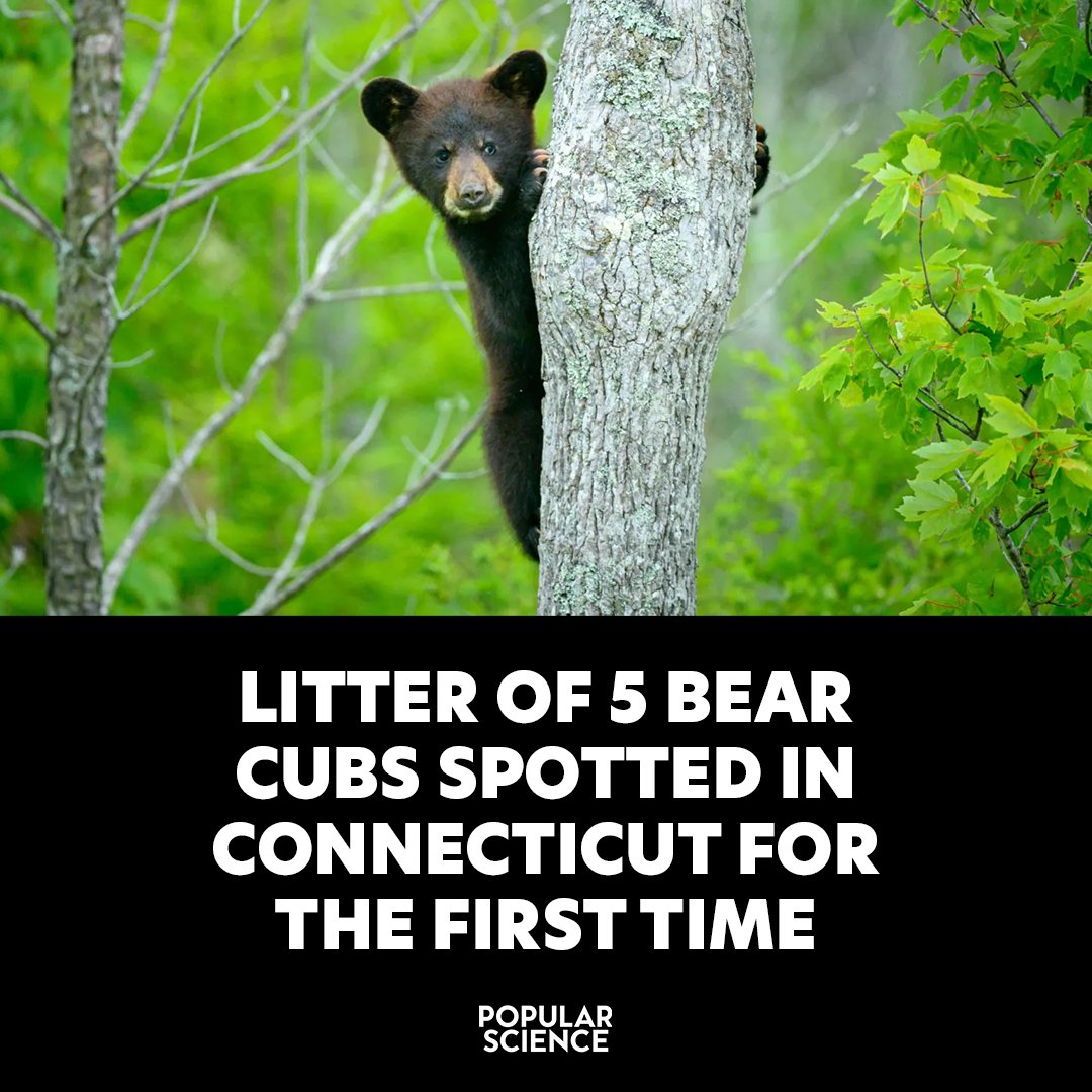 Popular Science tweet media