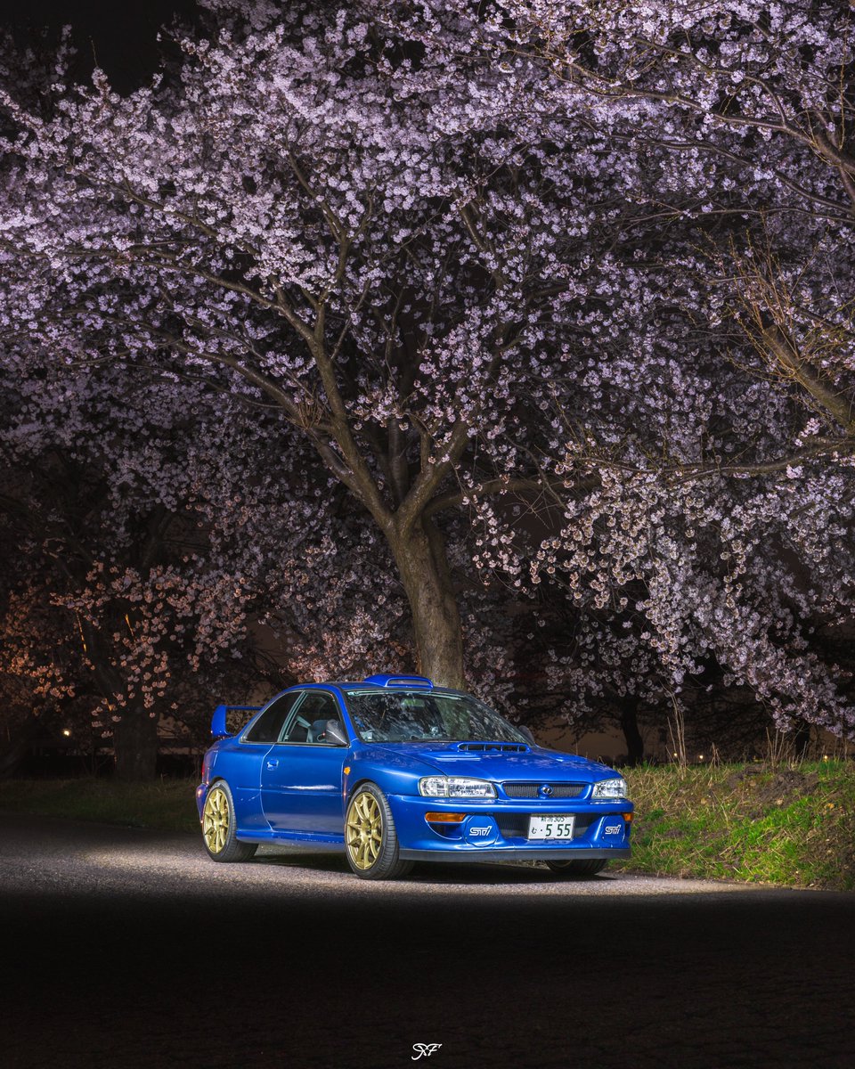 うみねこ tweet media