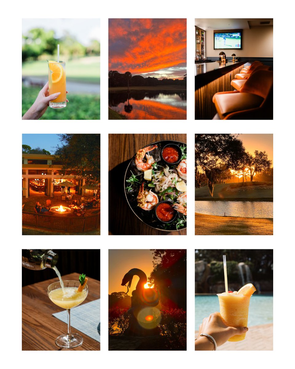 Innisbrook Resort tweet media