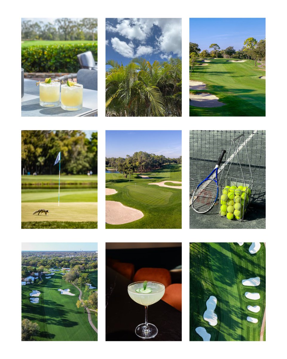 Innisbrook Resort tweet media