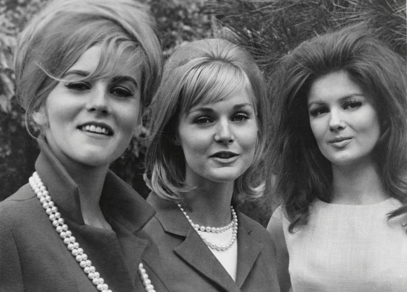 Harold’s Golden Age of Hollywood tweet media