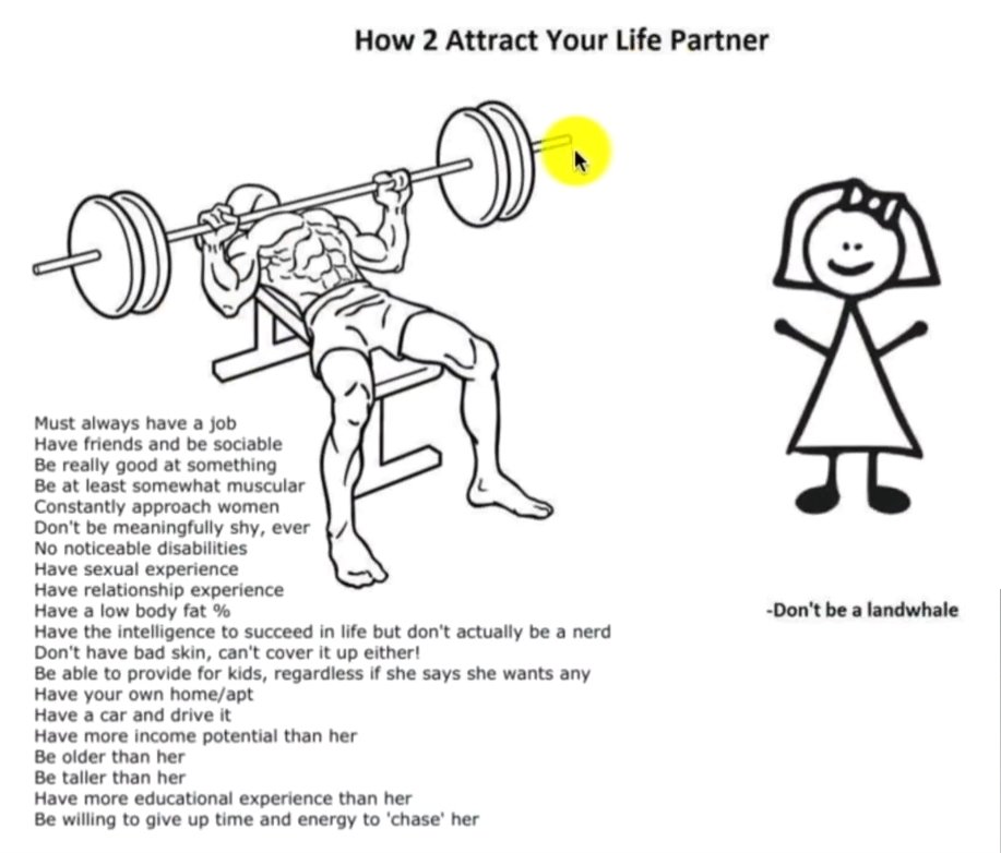 Freiheitsfeder tweet media