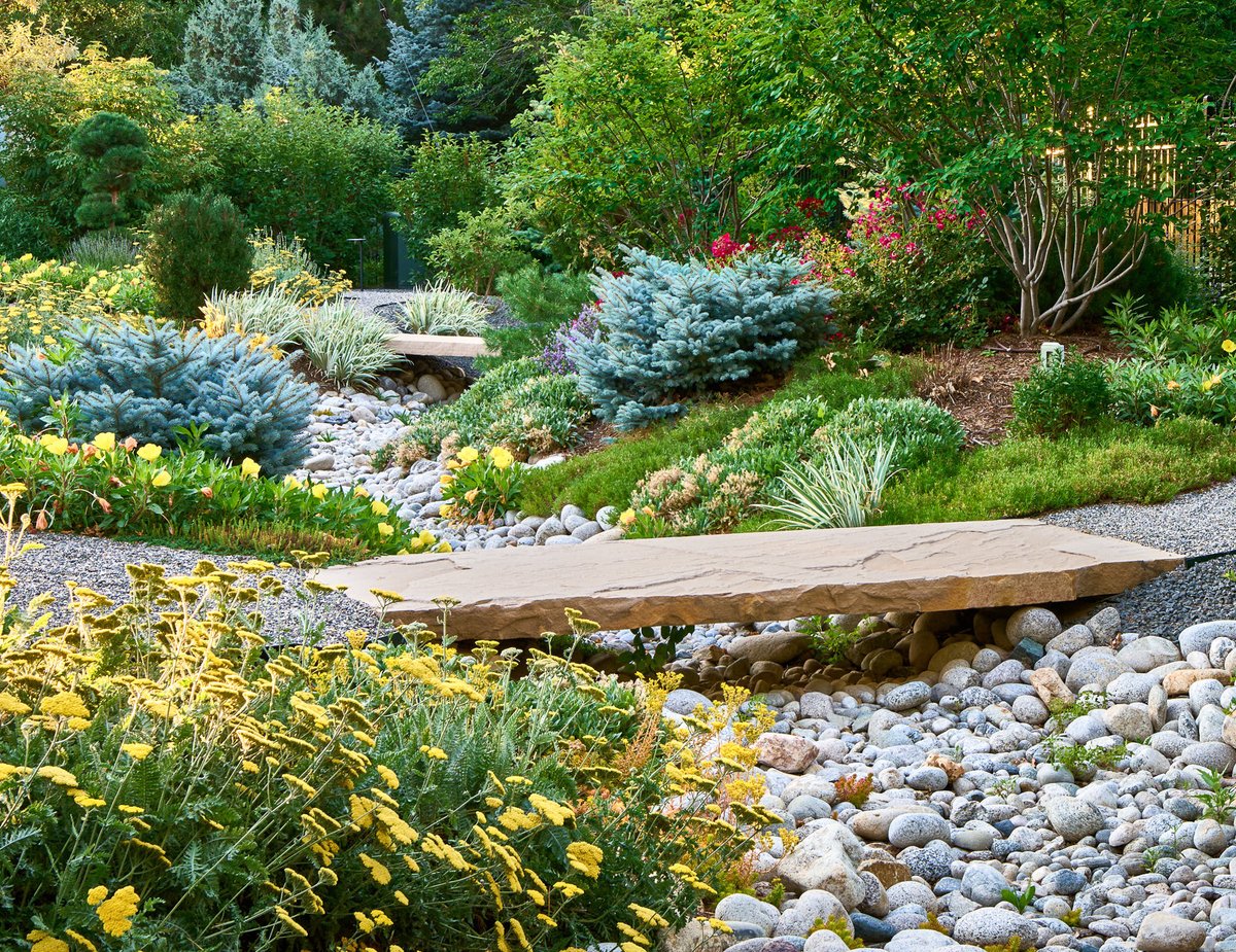 Designed to work with nature, not against it.

A dry creek bed adds movement, manages water, and brings the whole landscape together.

#LifescapeColorado #LandscapeDesign #Sustainable #OutdoorLiving #ColoradoHomes
