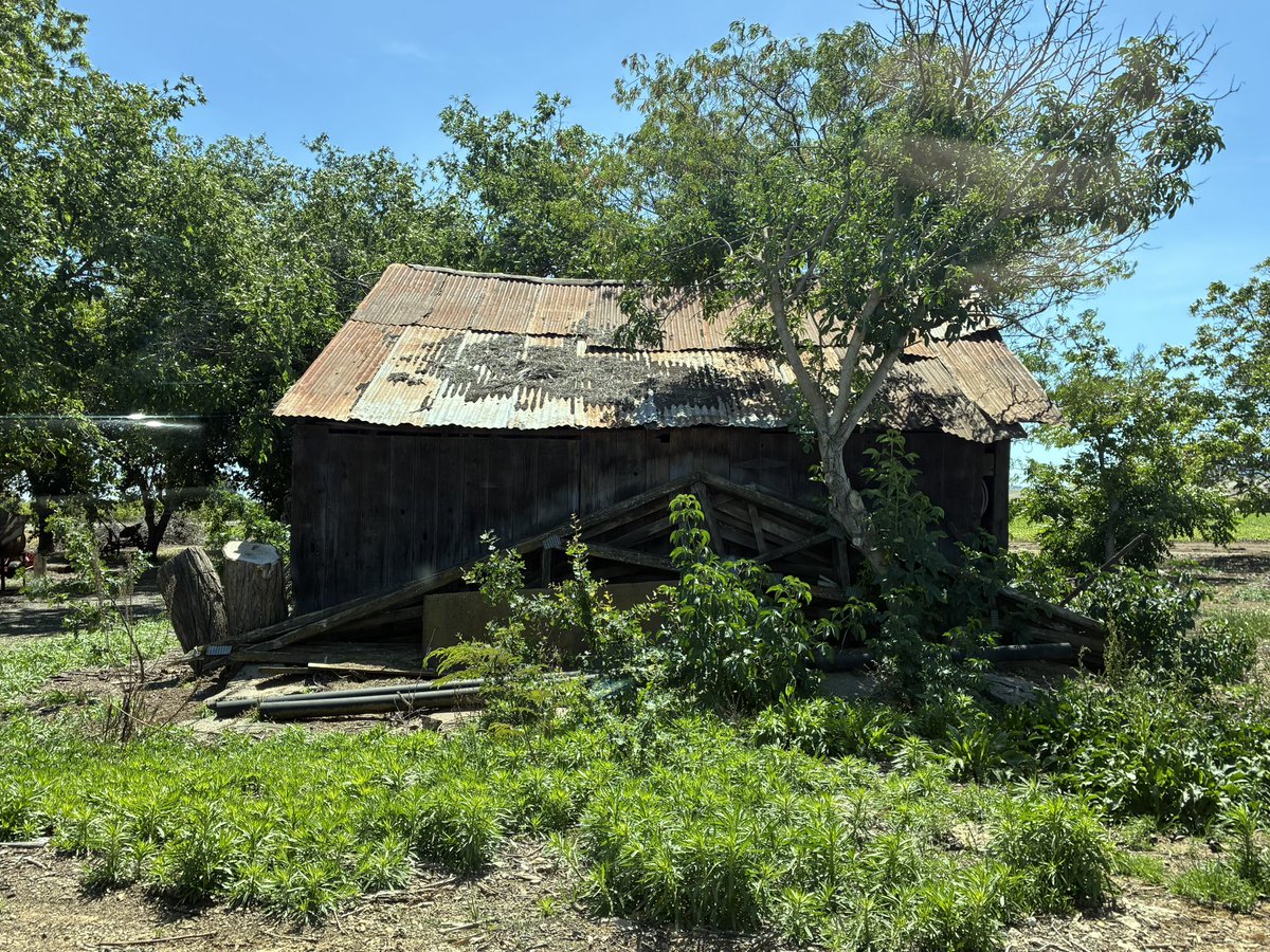 Mr. Marcus tweet media