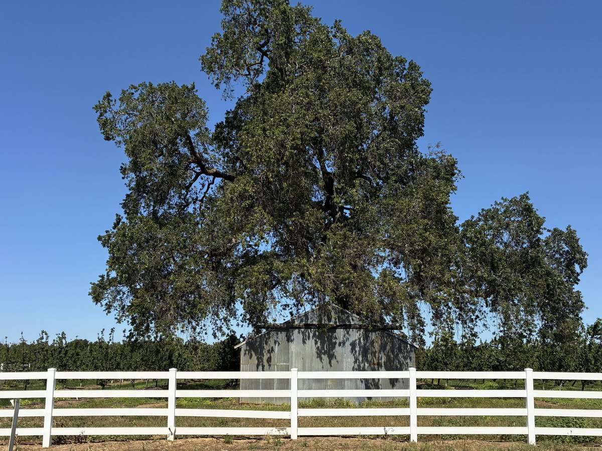 Mr. Marcus tweet media