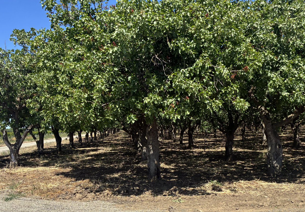 Mr. Marcus tweet media