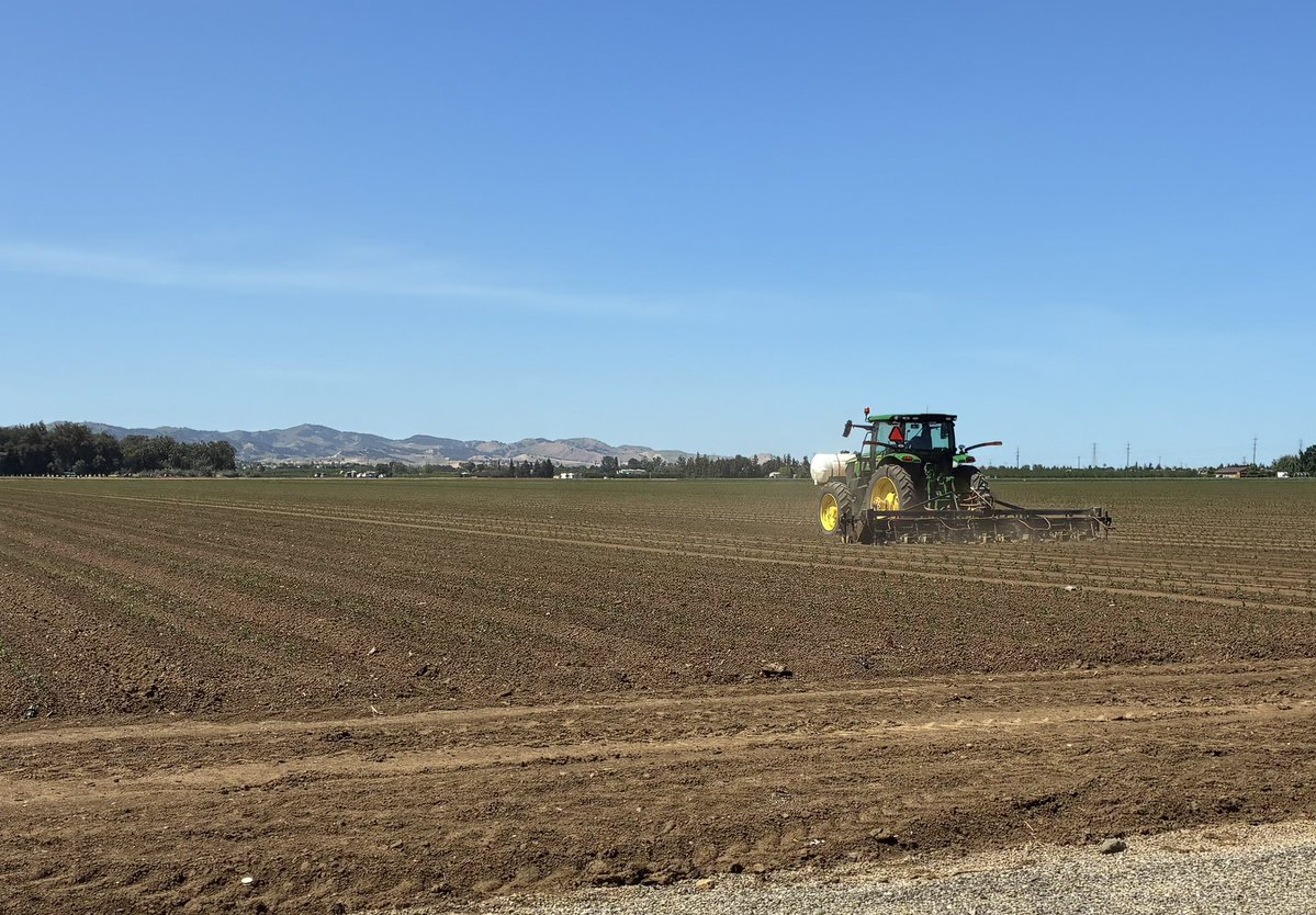 Mr. Marcus tweet media