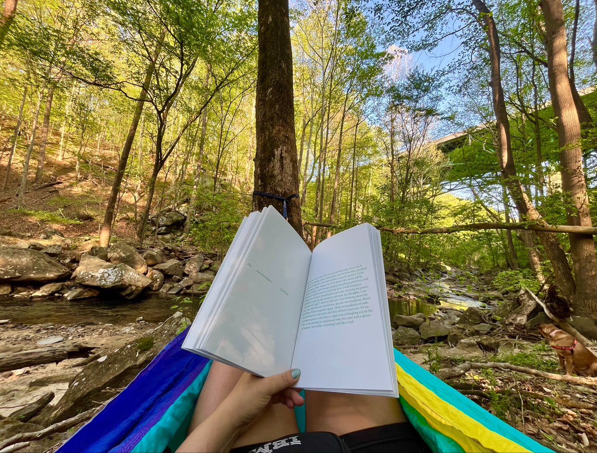 Anna Krivolapova tweet media