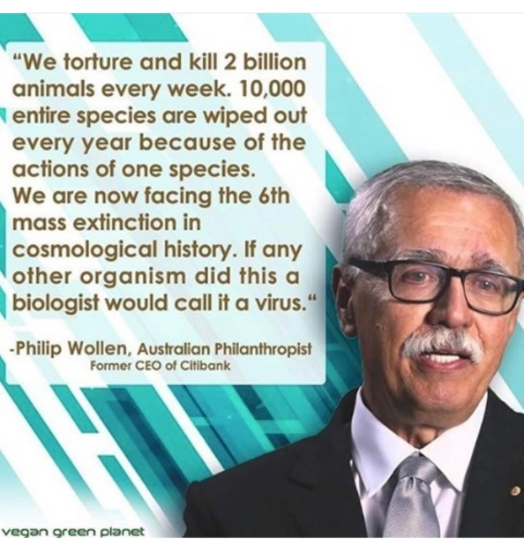 veganfuture's tweet photo. https://t.co/9qxQ1EPz6u