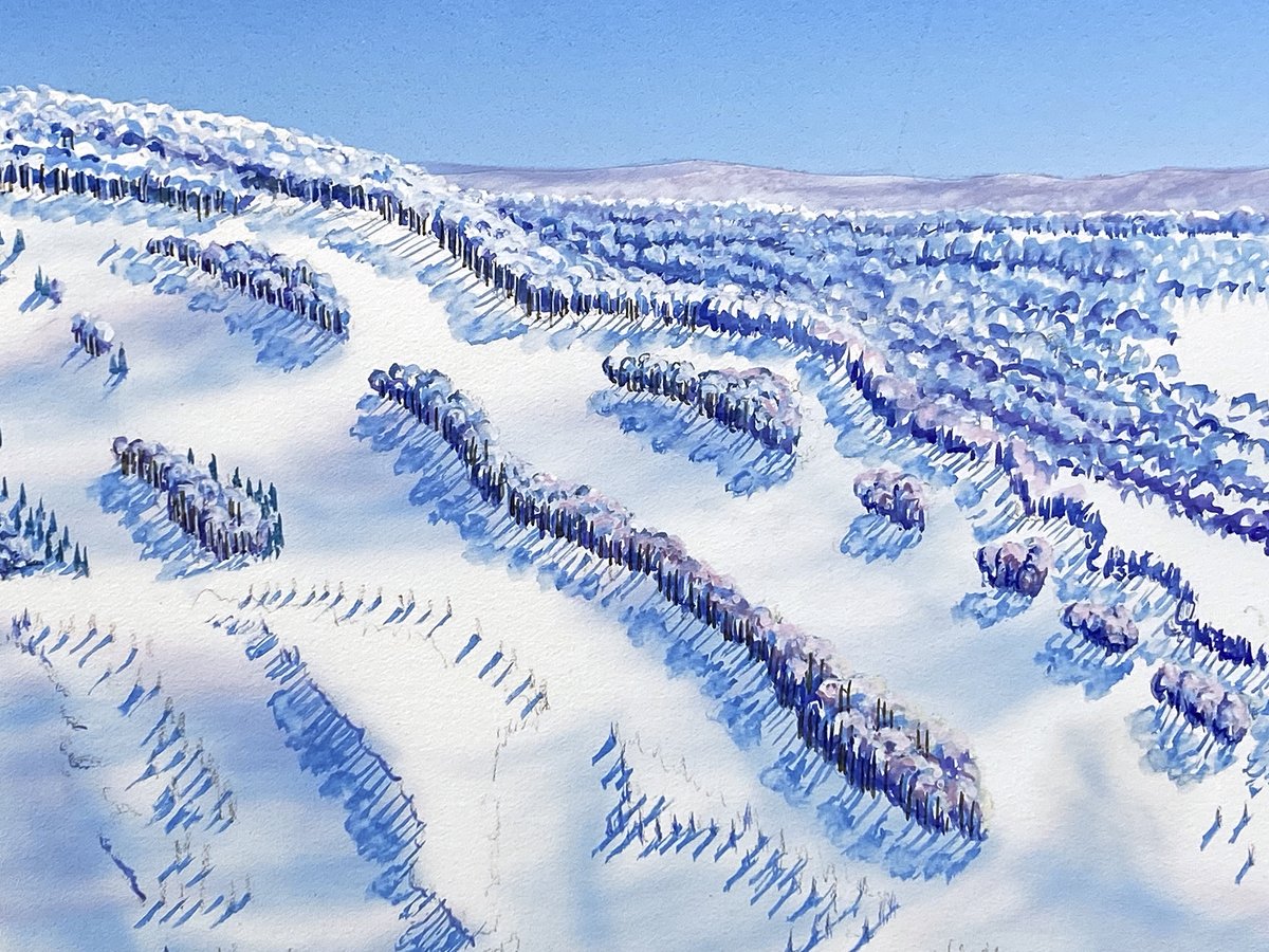 RadSmithSki's tweet photo. It’s all in the details…which encompass thousands and thousands of trees and layer upon layer of forest.

#Skiing #MontageMtn #SKITHEEAST https://t.co/ABSRFg4pyv
