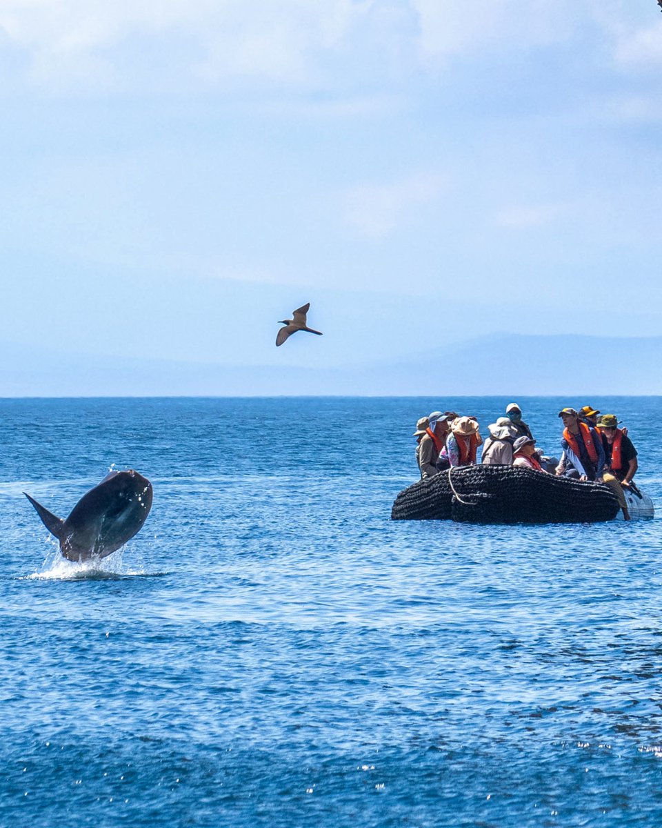 Lindblad Expeditions tweet media