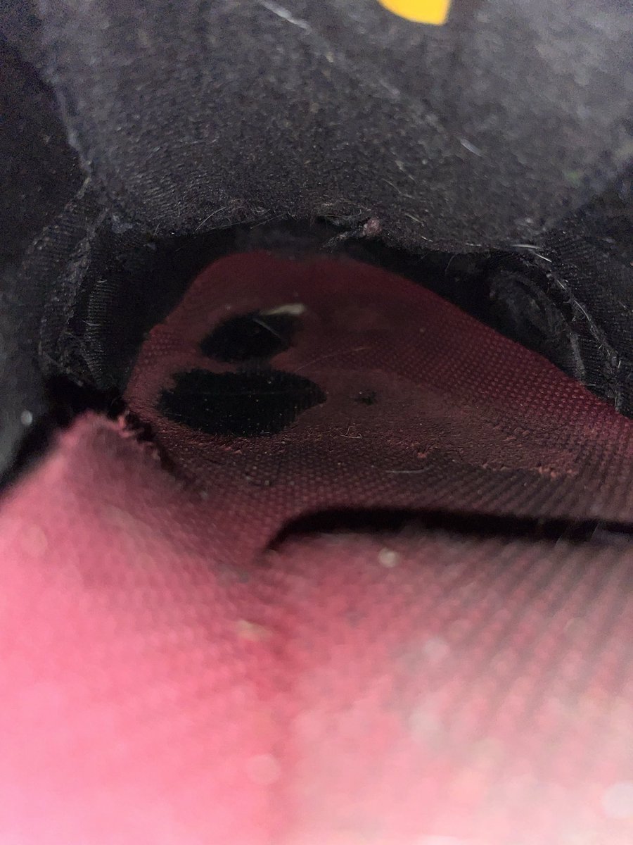 SammyCake tweet media