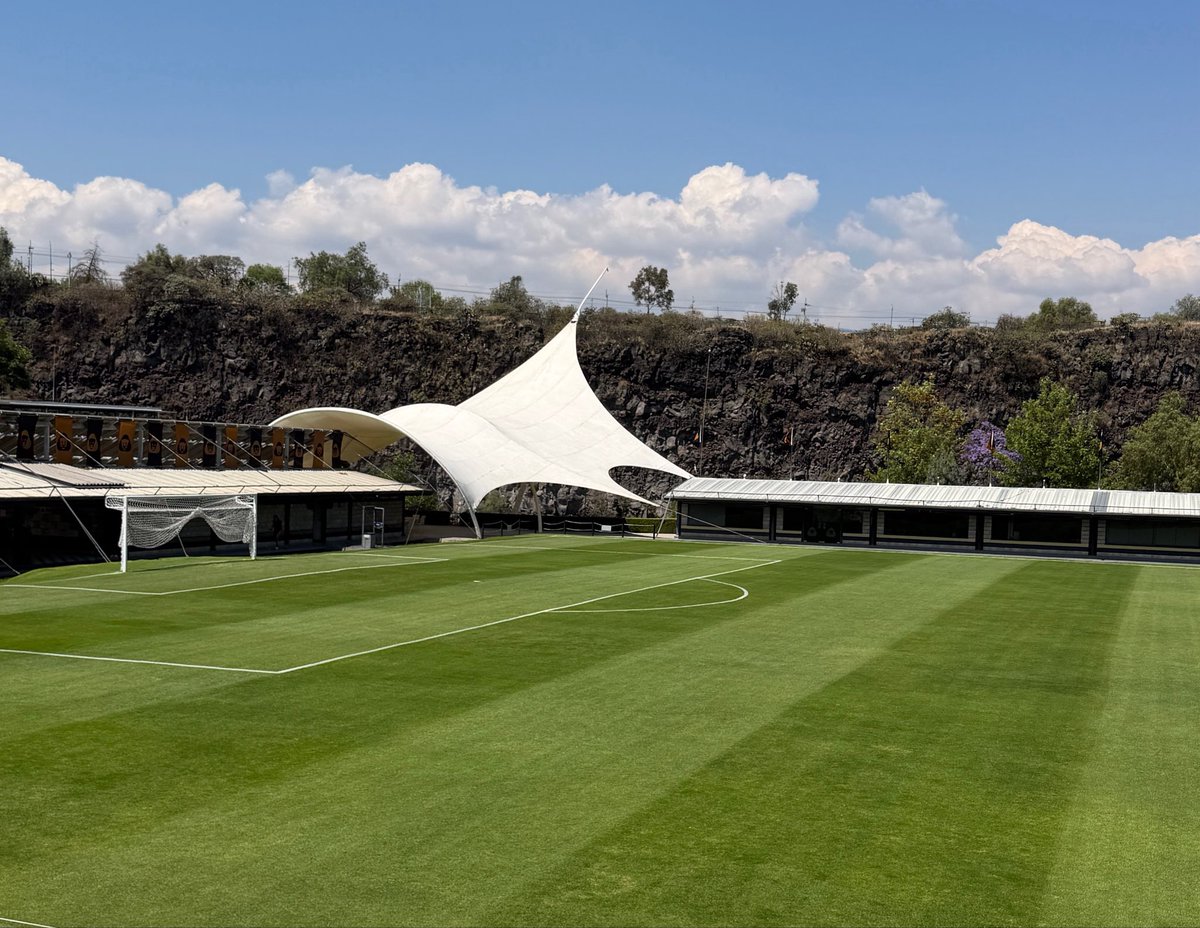 Brian Sales tweet media