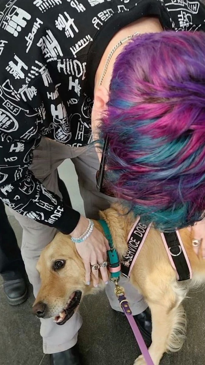 chey 🐾 tweet media