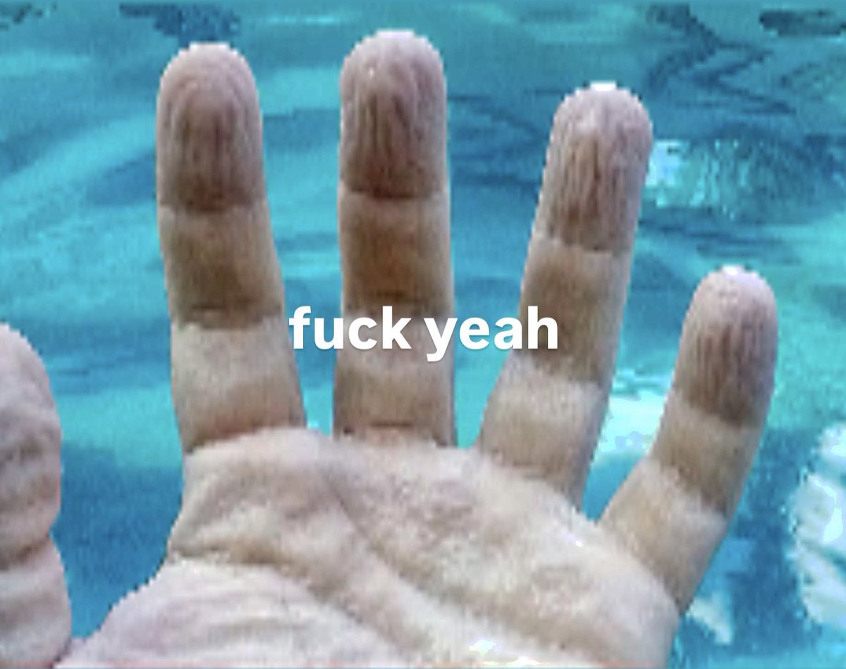 Suki Waterhouse tweet media