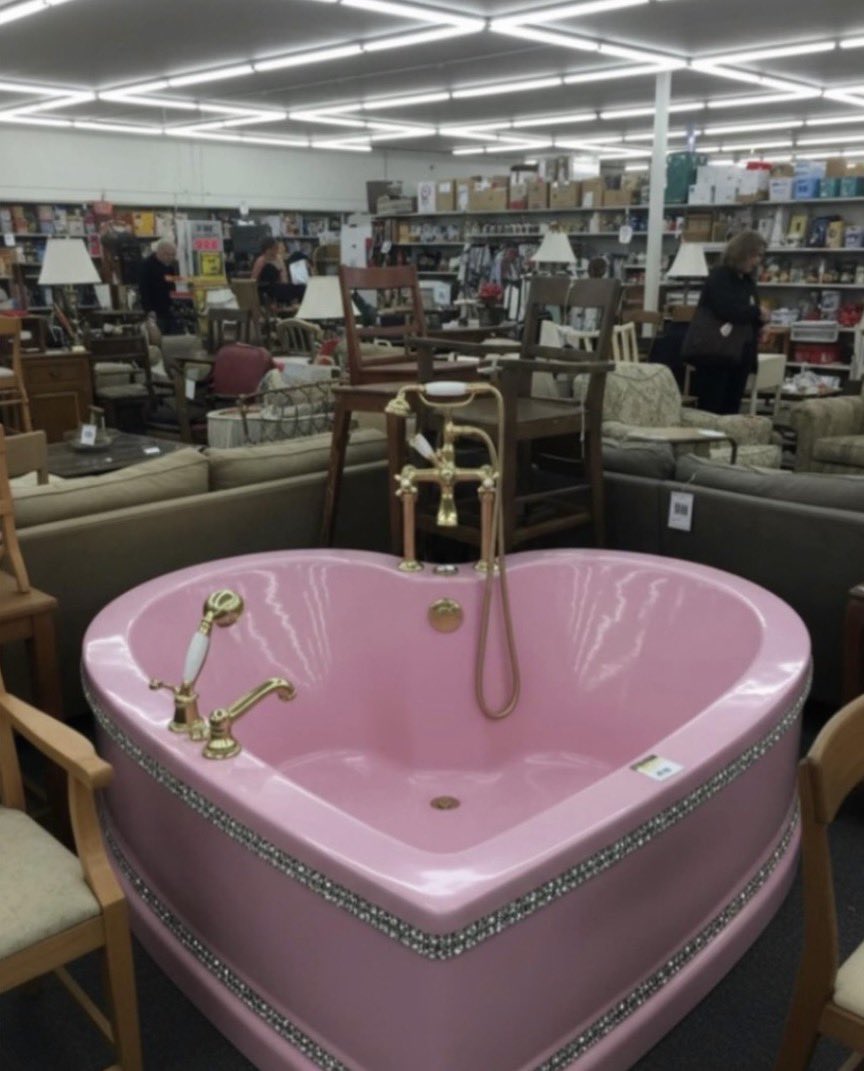 Suki Waterhouse tweet media