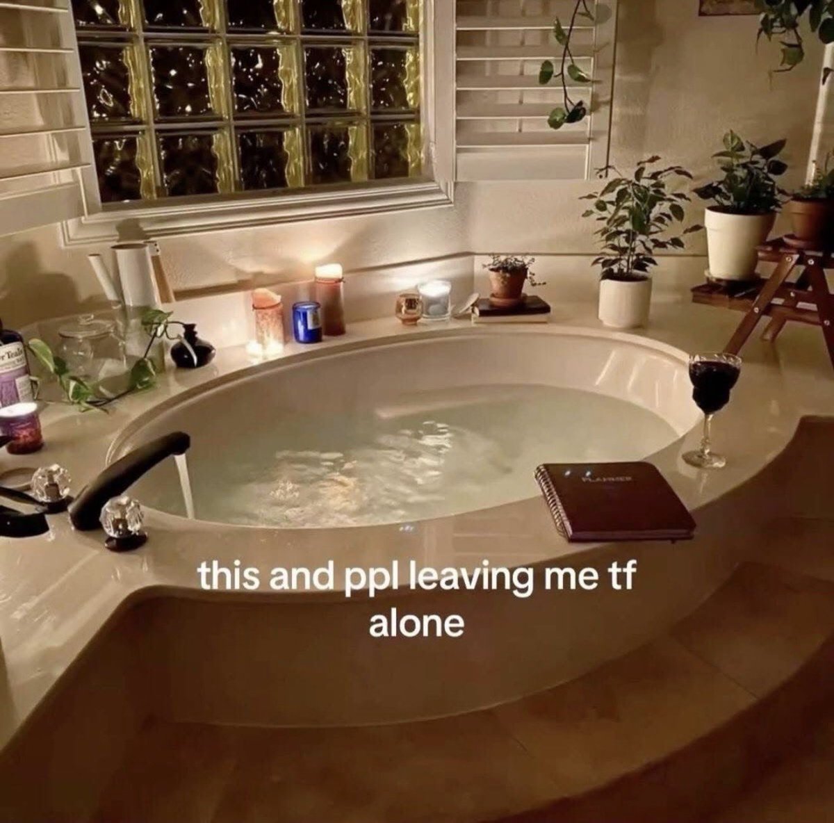 Suki Waterhouse tweet media