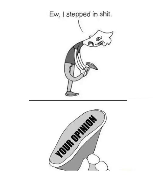 Fred_Zepp tweet media