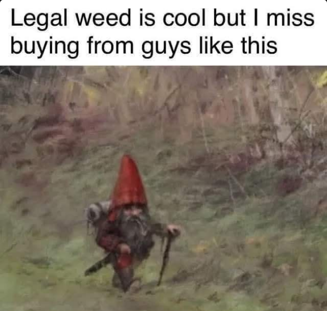 Nomadic Soul tweet media