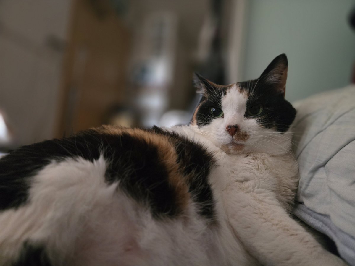 えじみその tweet media