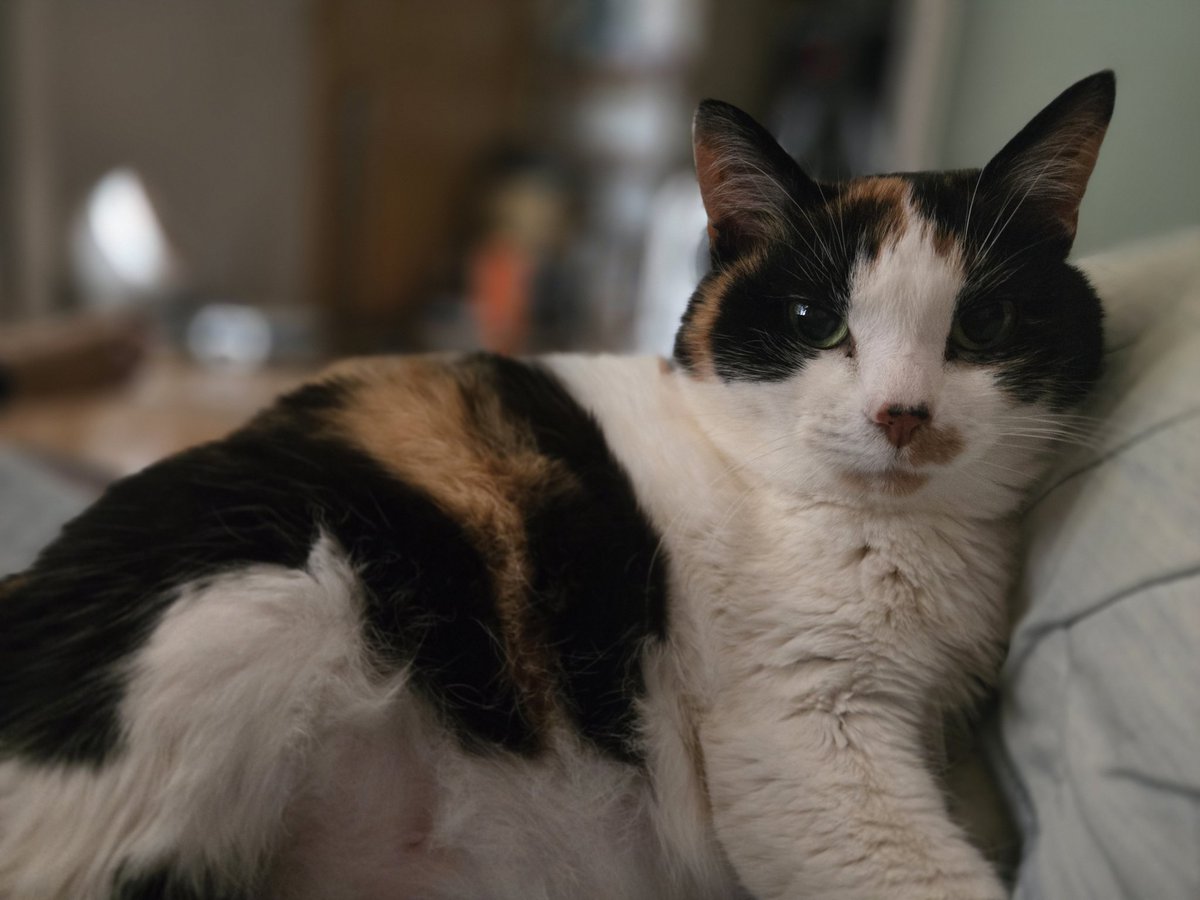 えじみその tweet media