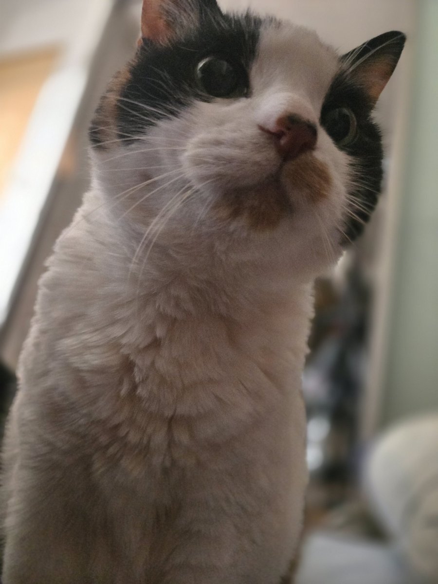 えじみその tweet media