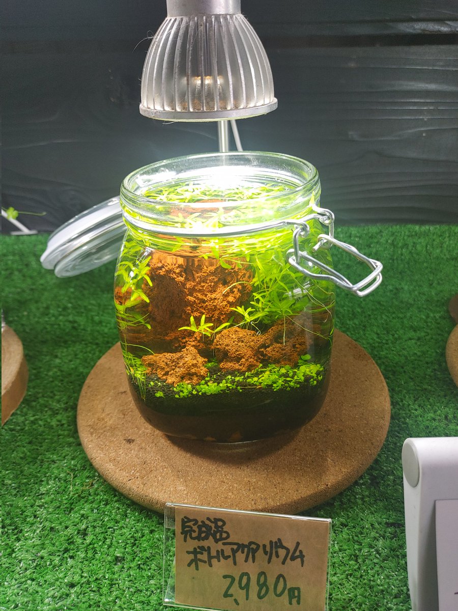 🌐熊本🌐 tweet media