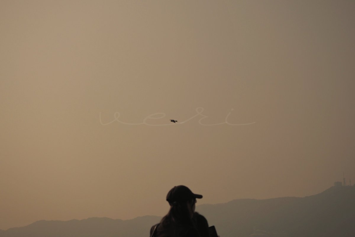 veri /べり tweet media