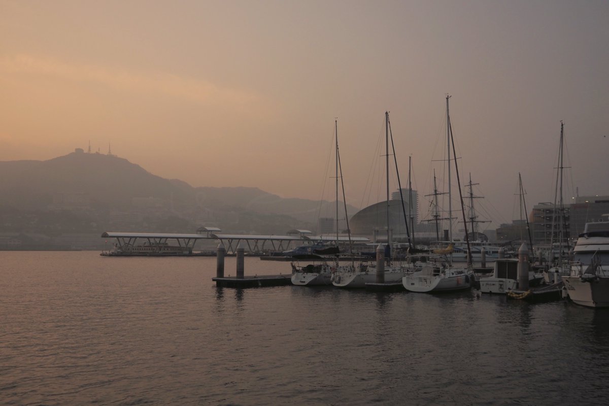 veri /べり tweet media